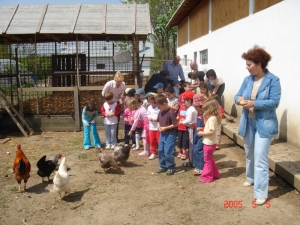 Week-end la tara, printre animale crescute ecologic