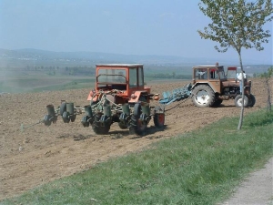 Mii de fermieri risca sa ramana fara subventii.