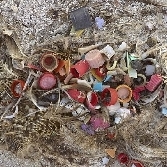 Cercetatorii au colectat din apele oceanului peste 64.000 de obiecte mici din plastic