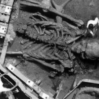Misterul uriasilor: Scheletele unor oameni giganti din America