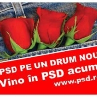 PSD in ofensiva: Noi membri si simpatizanti recrutati prin ziare si bloguri
