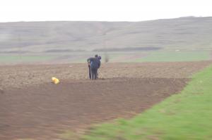 Agricultorii nu mai primesc subventii