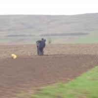 Agricultorii nu mai primesc subventii