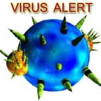 Virusarea computerului: 10 indicii de infectare