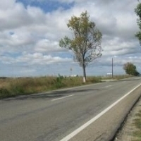 Centura Fordului