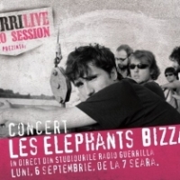 Radio Guerrilla lanseaza proiectul GuerriLIVE Radio Session