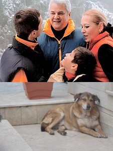 Batranul Ralph, din nou acasa: Familia Nastase si-a recuperat cainele