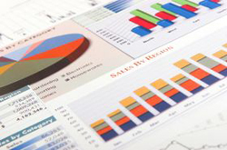 Top 10 evenimente de business 2010: Bursa � Cel mai greu an de criza