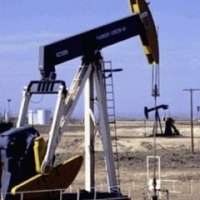 Situatia incerta din Egipt a crescut pretul petrolului