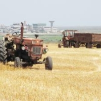 Vremea marilor ferme