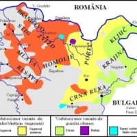 Timocenii sunt romani, nu vlahi