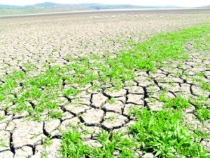 Seceta prelungita creeaza probleme agricultorilor romani