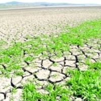 Seceta prelungita creeaza probleme agricultorilor romani