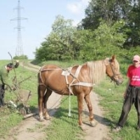 Romania nu e in stare sa ia fonduri europene