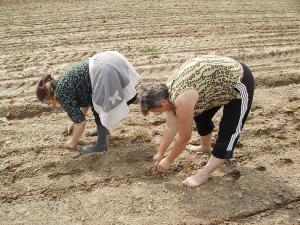 Agricultura ecologica si-a triplat numarul operatorilor din sistem