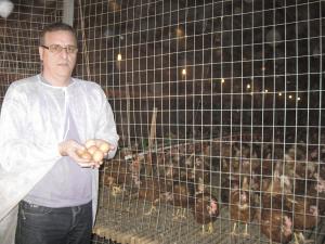 Afacere de succes cu oua ecologice