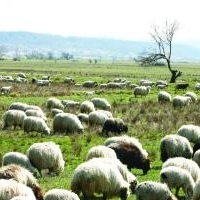 Muzeul Civilizatiei Montane la Ranca