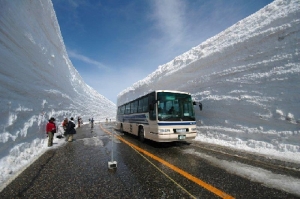 Cum se face deszapezirea in Japonia