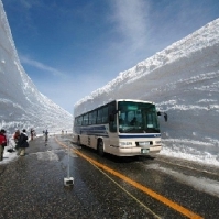 Cum se face deszapezirea in Japonia