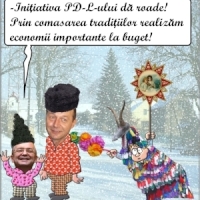 Verdictul Curtii Constitutionale : Legea alegerilor comasate este neconstitutionala, Guvernul Boc a incalcat libertatea romanilor 