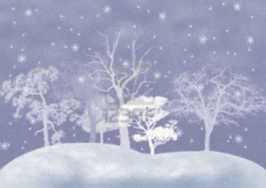Prognoza meteo in intervalul 8 � 10 Februarie 2012: Vreme geroasa