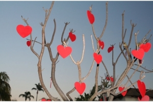 Valentines-Day: Cel mai frumos cadou de Ziua Indragostitilor