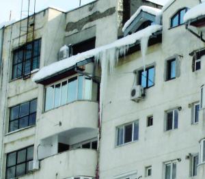 Galceava din cauza turturilor