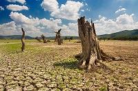 Cum se va modifica climatul Terrei pana in anul 2112