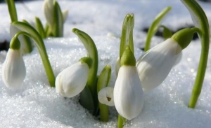 Previziune meteo: Timp rece si uscat in Martie, Aprilie si Mai