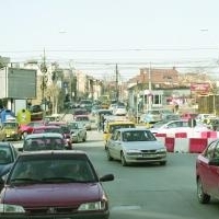 Furia taxei auto