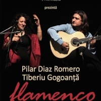Concert de flamenco la Clubul Taranului