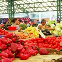 Alimentele, de zeci de ori mai scumpe in magazine decat intra in tara