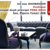 Exotique va deschide un nou showroom in Sos. Pipera - Tunari