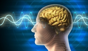 Parola alfanumerica va fi inlocuita de un gand prin inregistrarea undelor cerebrale - encefalograma
