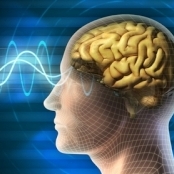 Parola alfanumerica va fi inlocuita de un gand prin inregistrarea undelor cerebrale - encefalograma