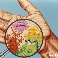 Bacteriile se transmit prin stransul mainii
