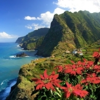 Madeira, un loc superb in care va puteti petrece vacanta de vara