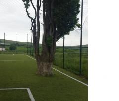 Terenul de fotbal cu pom din localitatea Tonciu