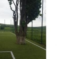 Terenul de fotbal cu pom din localitatea Tonciu