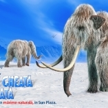 Epoca de Gheata prinde viata la Sun Plaza