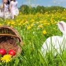 Cum va fi vremea de Florii, Paste si 1 Mai
