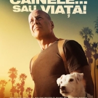 Filmul Cainele... Sau Viata!, la cinema in curand