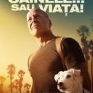Filmul Cainele sau viata, cu Bruce Willis, ruleaza deja in cinematografele din Romania