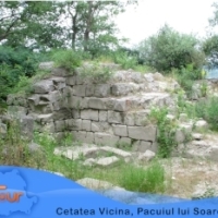 Reportaj din paradisul de la Dunare: Insula Pacuiul lui Soare