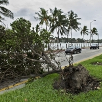 Uraganul Irma loveste coastele statului Florida