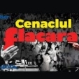 La 7 ani de la moartea poetului Adrian Paunescu: REMEMBER CENACLUL FLACARA LA SALA PALATULUI DIN BUCURESTI