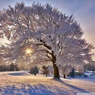 Prognoza meteo pentru zilele de 26 si 27 Decembrie 2017