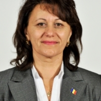 Liliana Sbirnea propune preluarea, de catre consulatele si ambasadele romanesti, a intregii activitati referitoare la reinnoirea pasapoartelor cetatenilor din Republica Moldova