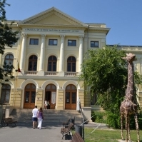 Artizanii naturii