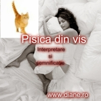 Semnificatia viselor in care apar pisici